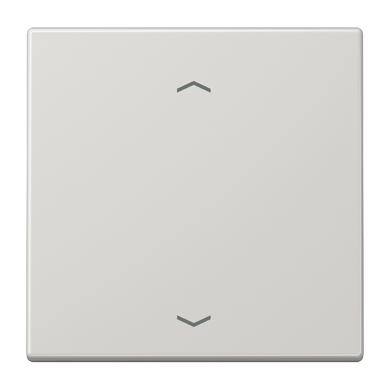 Изображение LS1700PLG  Центральная плата стандарт «стрелки» - завод JUNG