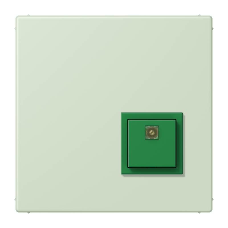 Изображение NRSLC0834AT218  Reset button - завод JUNG