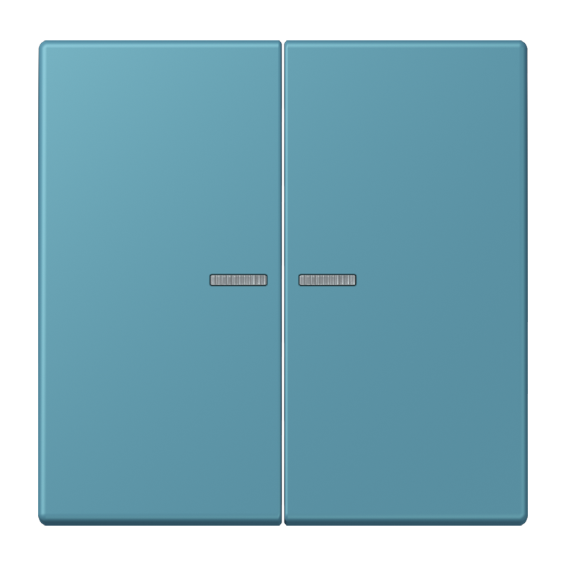 Изображение LC102KO5212  Клавиша с окошком - завод JUNG