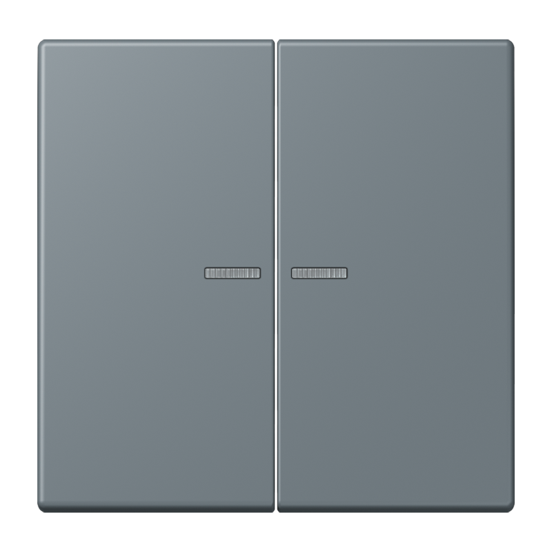 Изображение LC102KO5251  Клавиша с окошком - завод JUNG