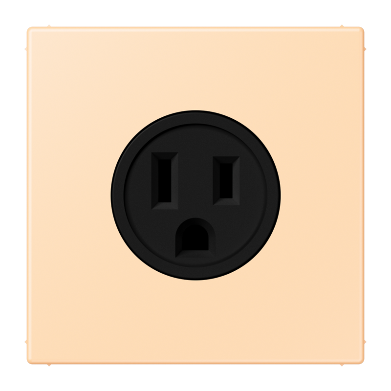 Изображение LC521-15223  Socket, US NEMA system - завод JUNG