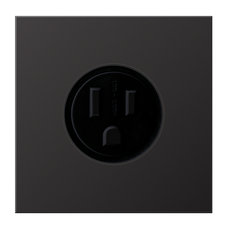 Изображение AL2521-15D  Socket, US NEMA system - завод JUNG