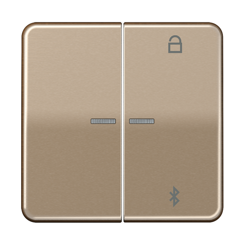 Изображение CD1751BTGB  Таймер универсальный Bluetooth - завод JUNG