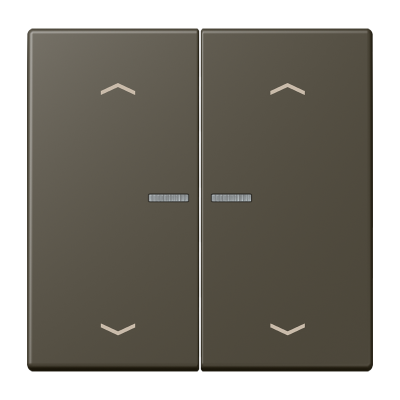 Изображение BTLC17102P241  JUNG HOME кнопка, 2 группы с символами «стрелки» - завод JUNG