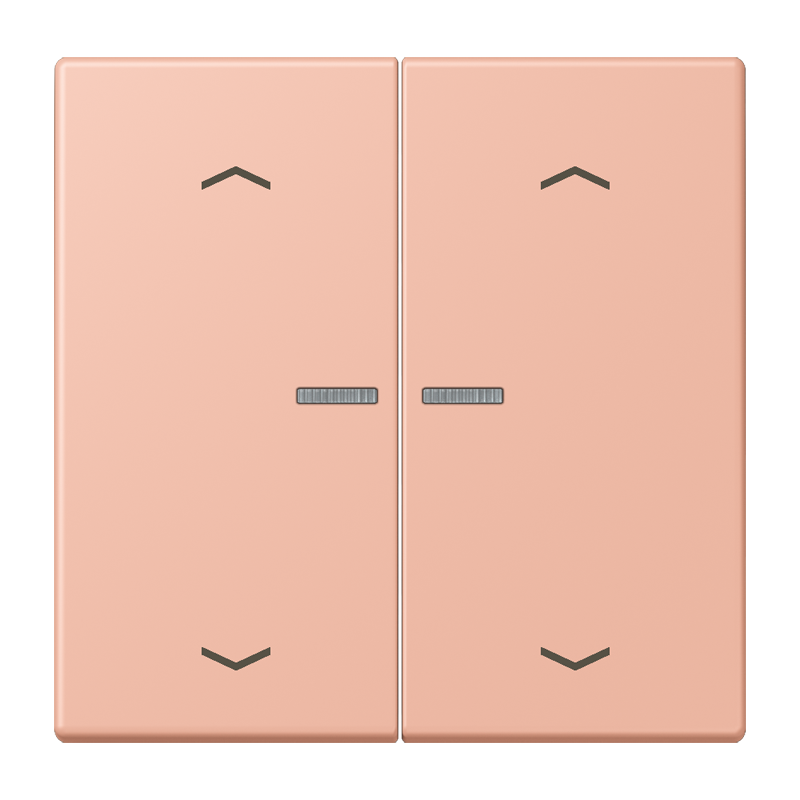 Изображение BTLC17102P231  JUNG HOME кнопка, 2 группы с символами «стрелки» - завод JUNG