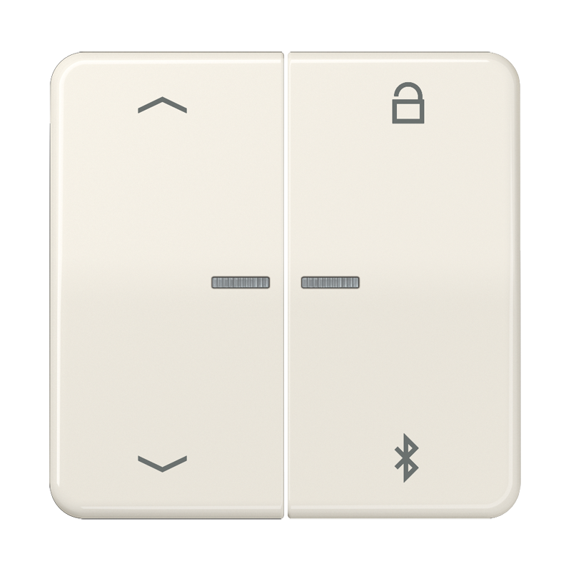Изображение CD1751PBT  Таймер универсальный Bluetooth «стрелки» - завод JUNG